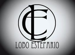 Lobo Estepario_0